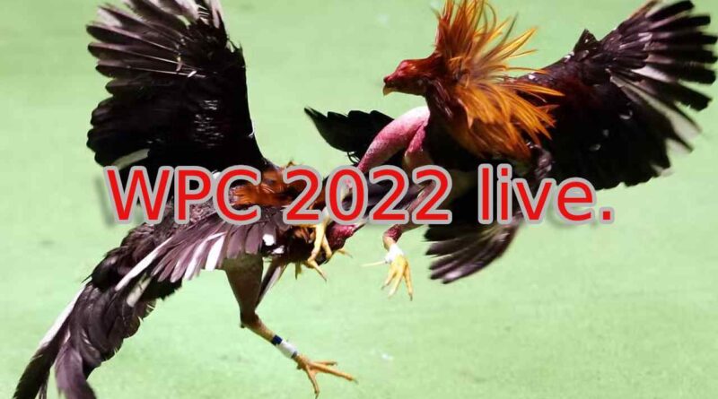 WPC 2022 live